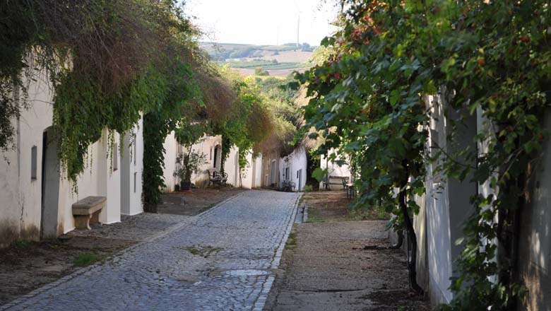 Kellergasse Rösselberg, © Weinviertel Tourismus