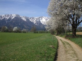 Schneeberg, © Wiener Alpen in Niederösterreich