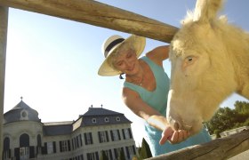 Eselfüttern auf Schloss Hof, © Niederösterreich-Werbung/ R. Newman