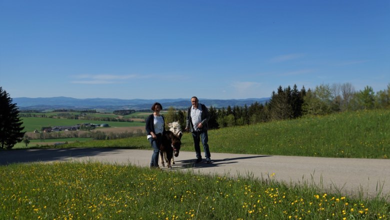 eselwanderung karnerhof, © Karnerhof