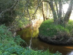 Überländerweg, © Marktgemeinde Hoheneich