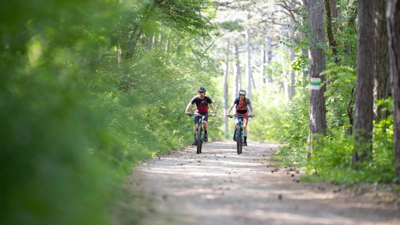 Mountainbiken Anninger, © Niederösterreich-Werbung/Markus Frühmann