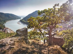 Aussichtsplatz am Luftberg in Aggsbach Dorf, © Donau NÖ Tourismus/Daniela Matejschek