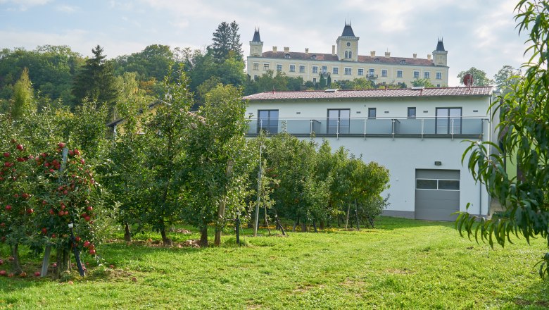 Blick auf Schloss Wolfsberg, © Weinhof Maier