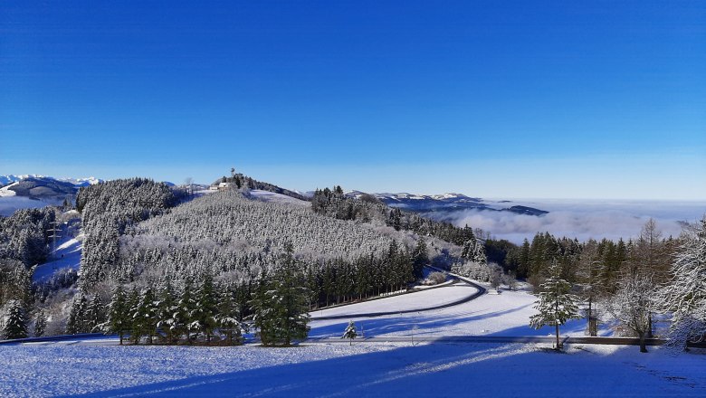 Das Sandlehen im Winter, © Michael Pichler