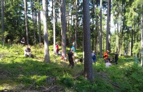 Im Wald, © Waldpädagogik Waldviertel/Roswitha Haghofer