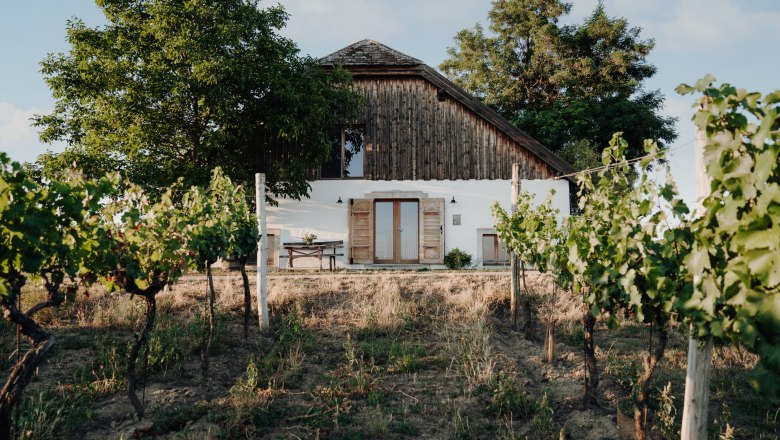 Mitten in den Weinbergen, © Weinakademie Retz