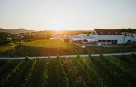 Weingut, Heuriger und Refugium., © Weingut & Weinblick Grafinger