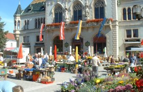 Bauernmarkt Korneuburg, © Stadtgemeinde Korneuburg