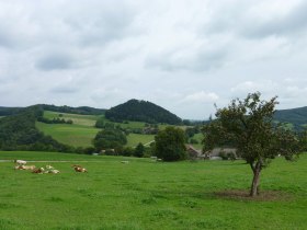 Blick vom Fuchsbauer zur Ruine St. Pankraz, © Wienerwald