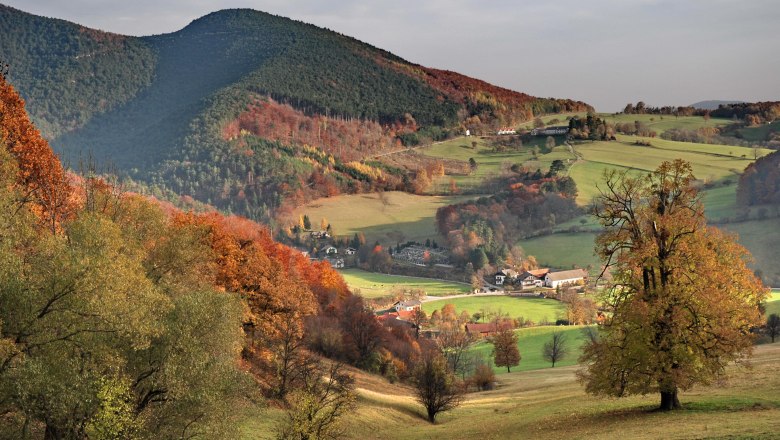 Der Wienerwald, © Gasthof zur Bruthenne