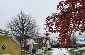 Kellerviertel Edelstal im Winter, © Donau Niederösterreich - Tourismusbüro Carnuntum-Marchfeld