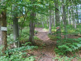 Wieshofer Steig, © Wienerwald