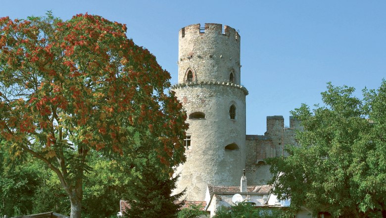 Burg Laa, © Stadtgemeinde Laa