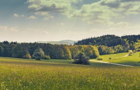 Panoramaweg Troppberg, © Wienerwald Tourismus GmbH / Andreas Hofer