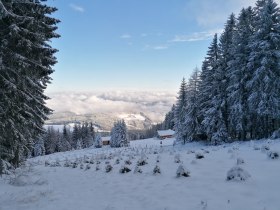 Unterwegs am Kampstein über dem Nebelmeer, © Wiener Alpen in Niederösterreich - Wechsel