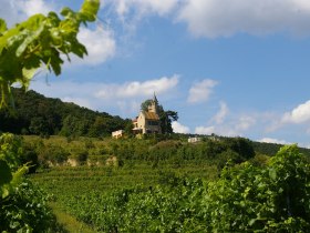 WeinWanderWeg Bad Vöslau, © Harald Schachl