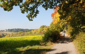 Am Waldrandweg, © Wienerwald