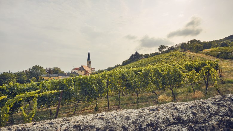 Gumpoldskirchen, © gumpoldskirchen_cwienerwald-tourismus_andreas-hofer_2021