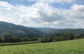 Klosterneuburger Genusstour, © Wienerwald