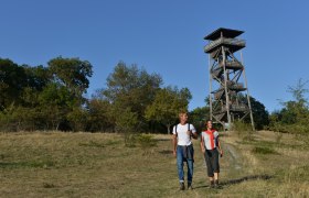 Zwei Wanderer vor einem hölzernen Aussichtsturm in einer Wiesenlandschaft., © Donau NIederösterreich, Steve Haider