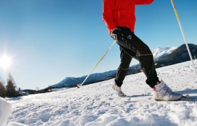 Mit Langlaufskiern durch den Schnee, © weinfranz.at