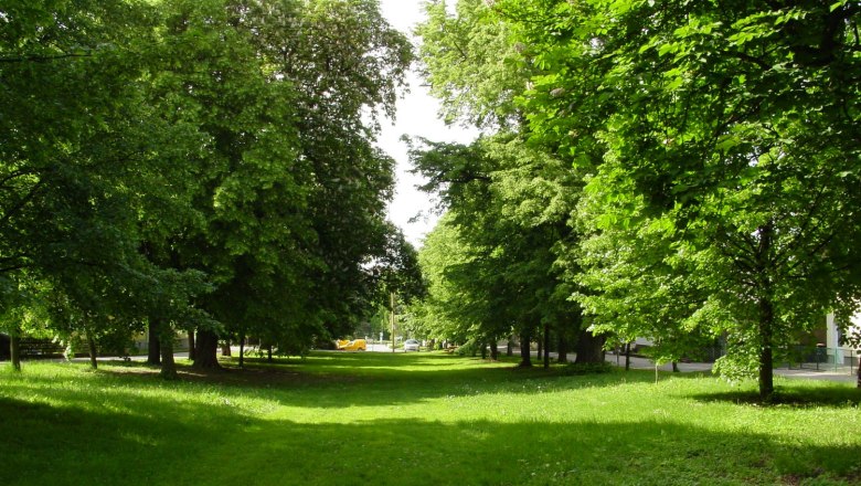 Allee, © Gemeinde Ladendorf