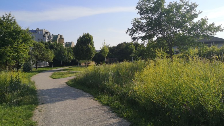 IGL Park im Sommer, © "Natur im Garten"