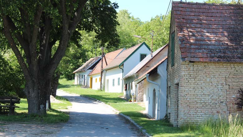 Kellergasse Stillfried, © Weinviertel Tourismus