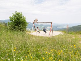 Schaukelweg©Schischaukel Moenichkirchen-Mariensee GmbH, © Wiener Alpen in Niederösterreich - Wechsel