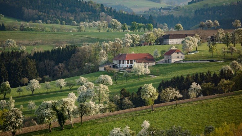 Fotopunkt Karl Lammerhuber Blick Südosten, © schwarz-koenig.at