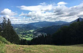 Blick vom Eibl, © Werner Eigelsreiter