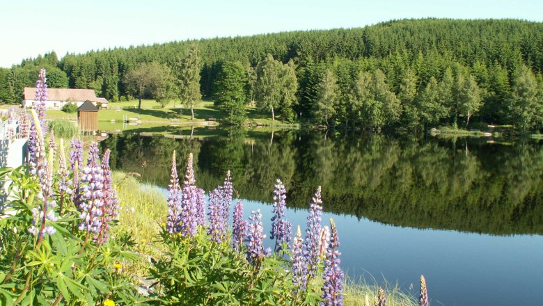 Bärnkopf, © Gästehaus Grudl