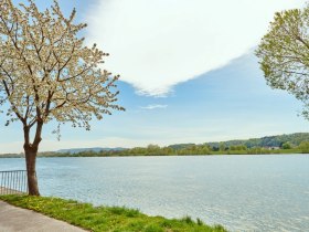 Donaulände bei Marbach an der Donau, © Donau Niederösterreich / Klaus Engelmayer