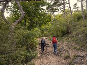 Wandern im Wienerwald, © Wienerwald / Studio Kerschbaum