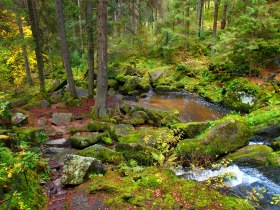 Lohnbachfall, © Waldviertel Tourismus