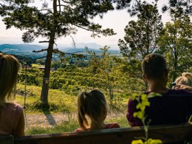 Rosalia Rundwanderweg - Etappe von Wr. Neustadt bis Eichbüchl, © Wiener Alpen in Niederösterreich - Bad Erlach