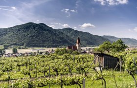 Weißenkirchen im Frühling, © Robert Herbst