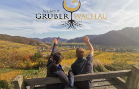 Ausblick in die Weingärten, © Weingut Gruber