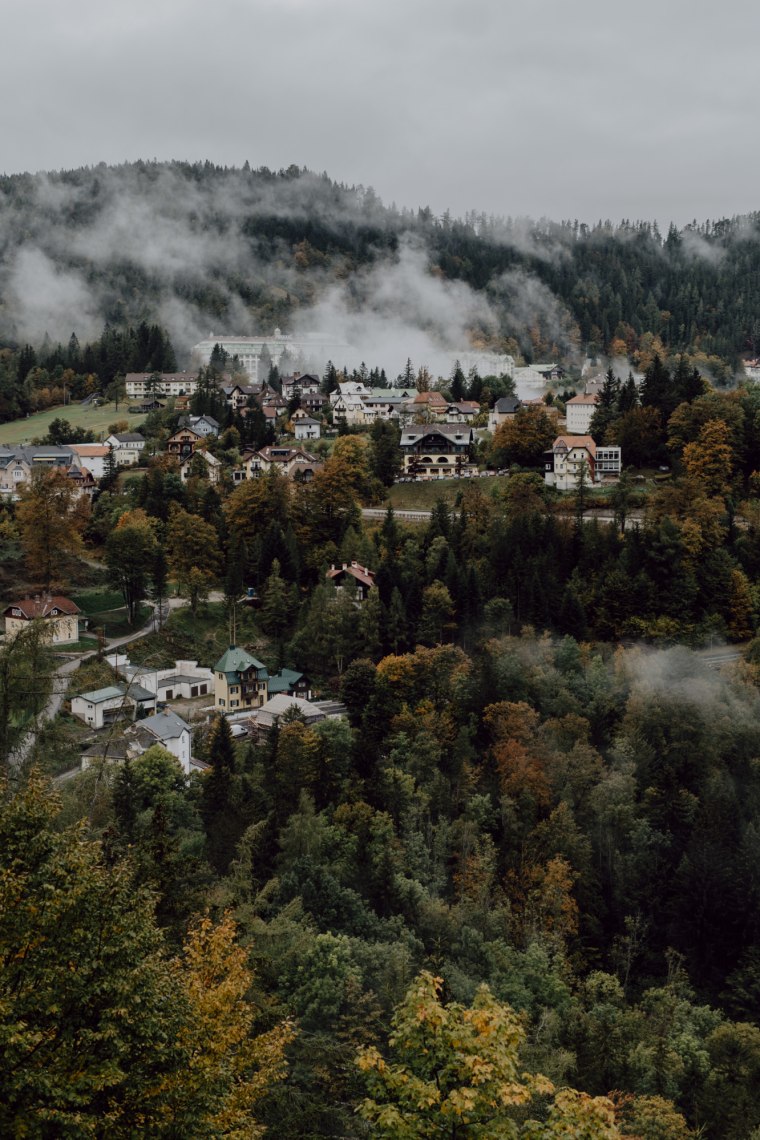 Wälder mit Ortschaft.