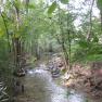 Natur pur am Feichsenbach, © KTech