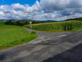 Kreuzung Unterhohenau - Blick zurück nach Norden, © Gottfried Grossinger