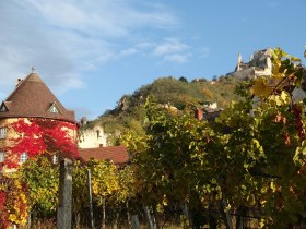 Dürnstein im Herbst, © Donau NÖ Tourismus