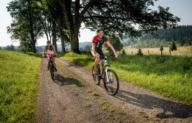 MTB Waldviertel, © Waldviertel Tourismus, Studio Kerschbaum