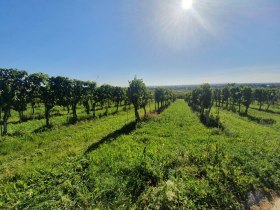 Landschaft, © Wienerwald