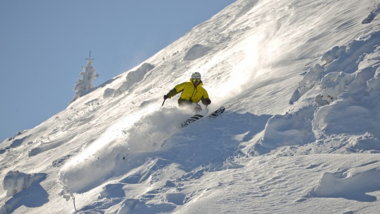 Freeride Area Gemeindealpe, © Bergbahnen Mitterbach