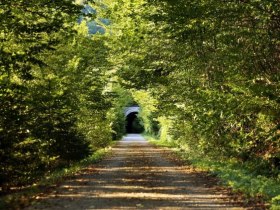 Falkenschlucht-Tour, © Marktgemeinde Türnitz