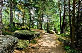 Naturpark Nordwald, © POV