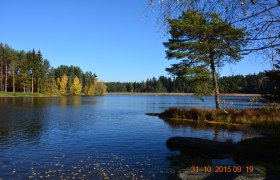 Grießbachteich bei Amaliendorf, © Karl Prohaska