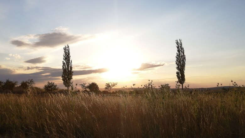 Abenddämmerung, © Andrea Wiesinger